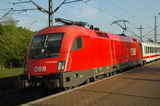 photo018845