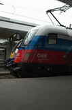 photo019567