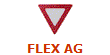 FLEX AG