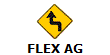 FLEX AG