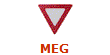MEG