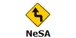NeSA