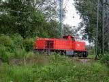 Photo001771