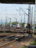 Photo007899