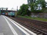 Photo008198
