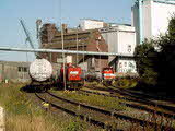 Photo012888