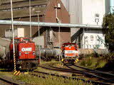 Photo012889
