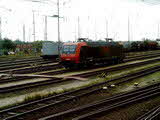Photo013085