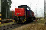 Photo016231