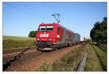 photo005411