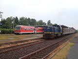 photo006752