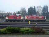 photo008935