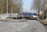 photo009213