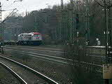 photo009757