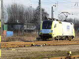 photo009780