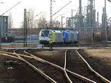 photo009787