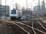 photo009788