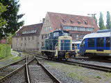 photo010885