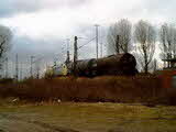 photo012196