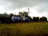 photo013091