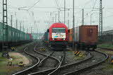 photo013243