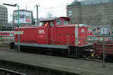 photo016498