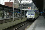 photo016505
