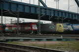 photo016528