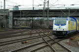 photo016567