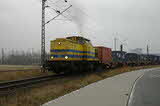 photo016771
