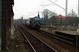 photo017008