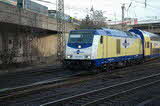 photo017296