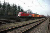 photo017387