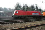 photo017388