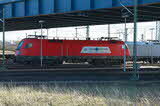 photo017430