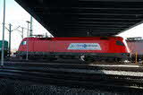 photo017431