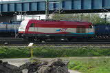 photo018839