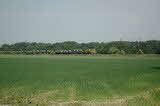 photo019172