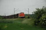photo019182