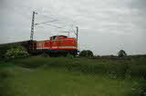 photo019184