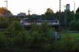 photo019381