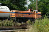 photo019526