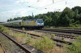 photo019583