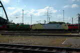 photo019595