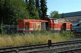 photo19781