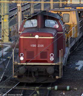 photo6920