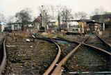 Photo000993