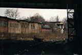 Photo000998