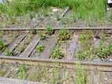 Photo001627