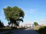 Photo001832
